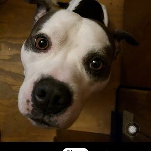 Meet your Posher, Aaron